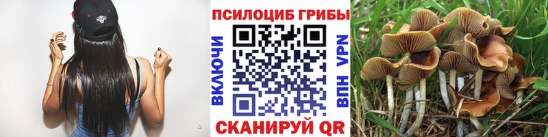 Галлюциногенные грибы Magic Shrooms  Купить где  Поронайск 